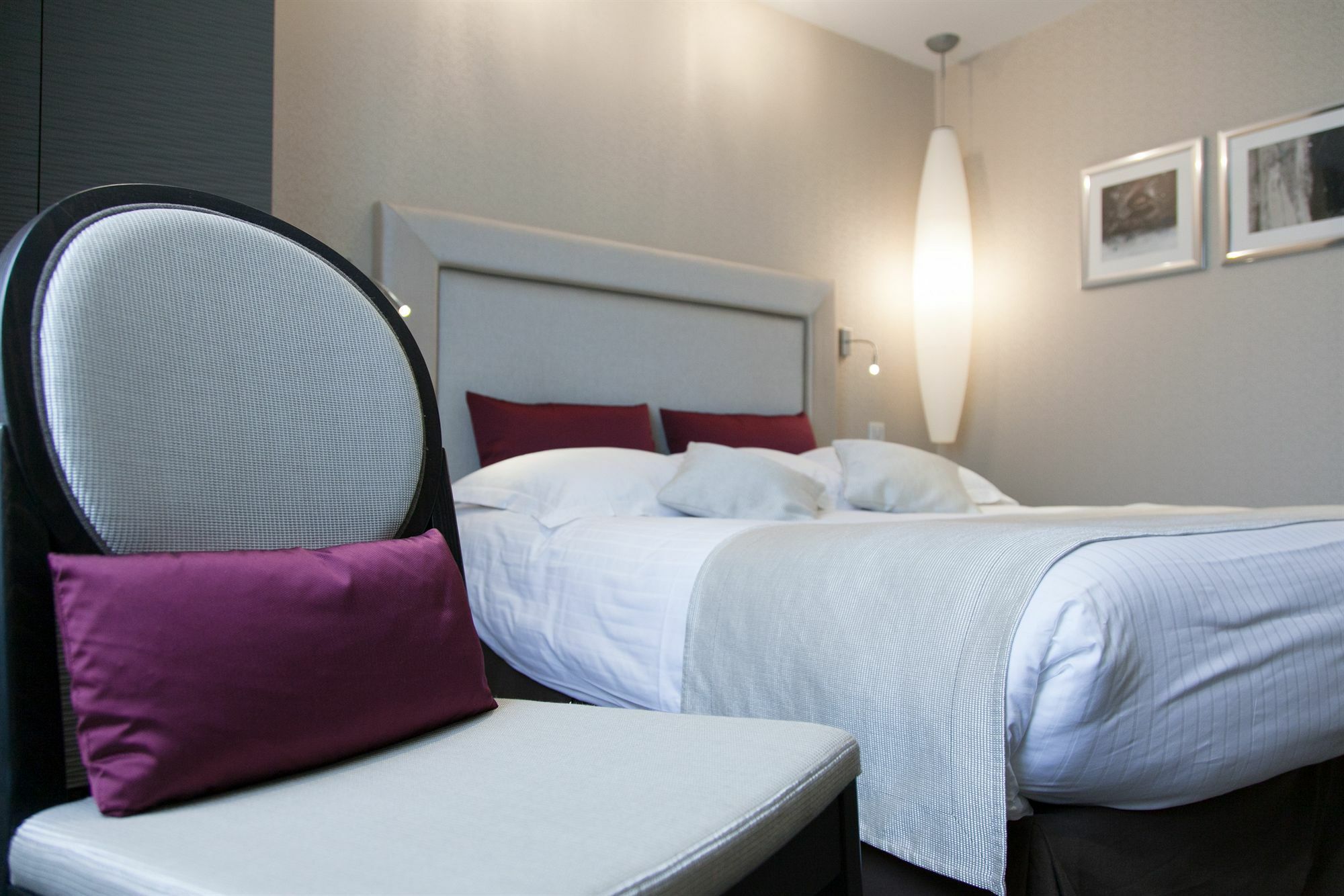 Hotel Des Princes, Chambery Centre Екстер'єр фото